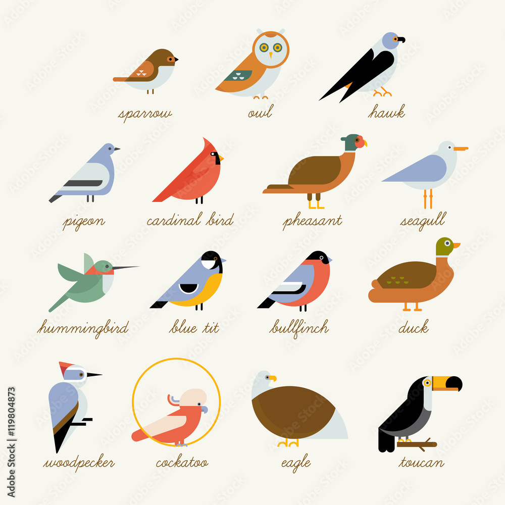 Naklejka premium Kolekcja ikon ptaków. Różne gatunki ptaków, takie jak: sowa, tukan, koliber, gil i więcej ptaków ilustracji wektorowych