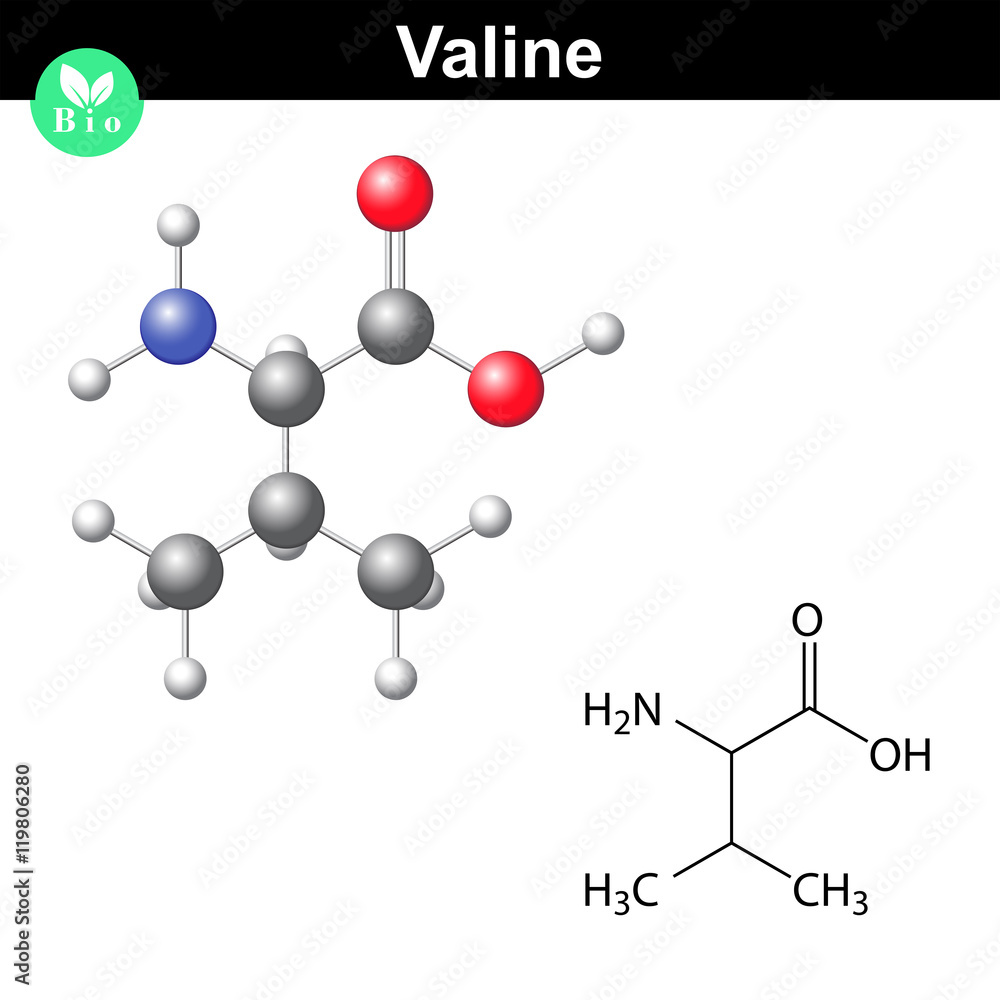 Valine proteinogenic amino acid