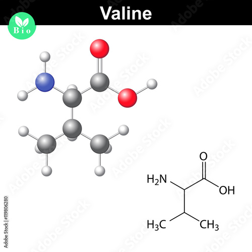 Valine proteinogenic amino acid
