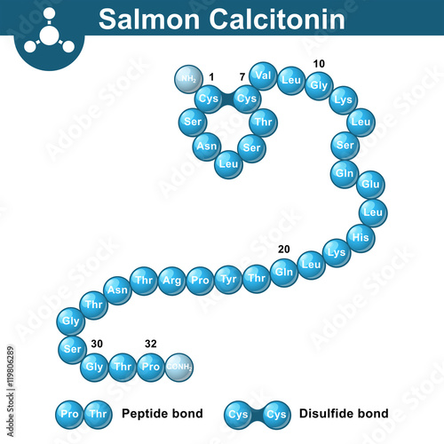 Salmon calcitonin hormone structure photo