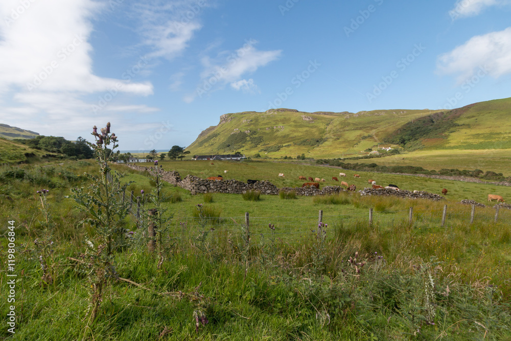 Liebliche Landschaft in der Talisker Bay, Skye, Schottland Liebliche Landschaft in der Talisker Bay, Skye, Schottland