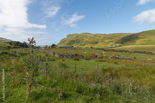 Liebliche Landschaft in der Talisker Bay  Skye  Schottland