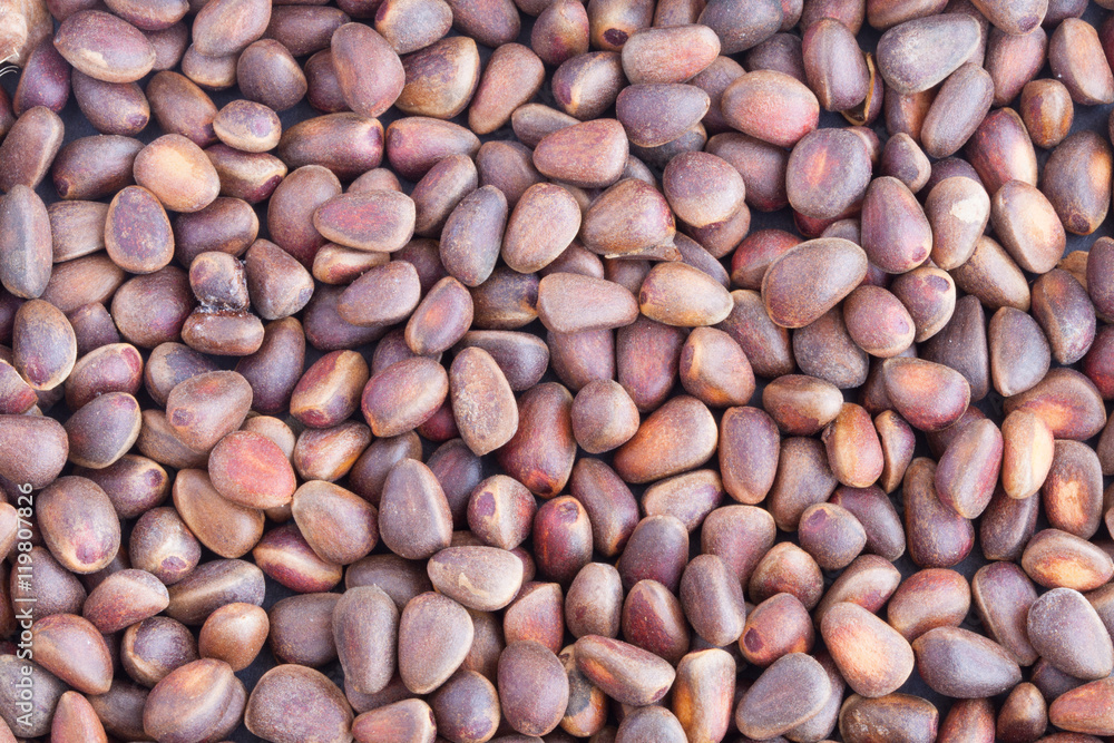 Pine nuts in shells. Background. Pine nuts in shells. Background.
