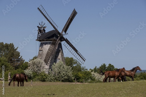 Windmill in Benz on the island of Usedom, Germany photo