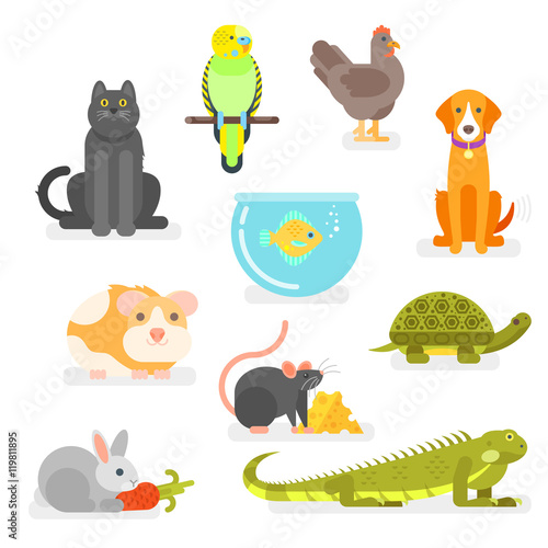 Vector set of various home pets