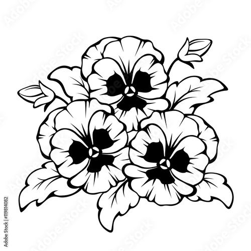 Vector black contour of pansy flowers isolated on a white background.