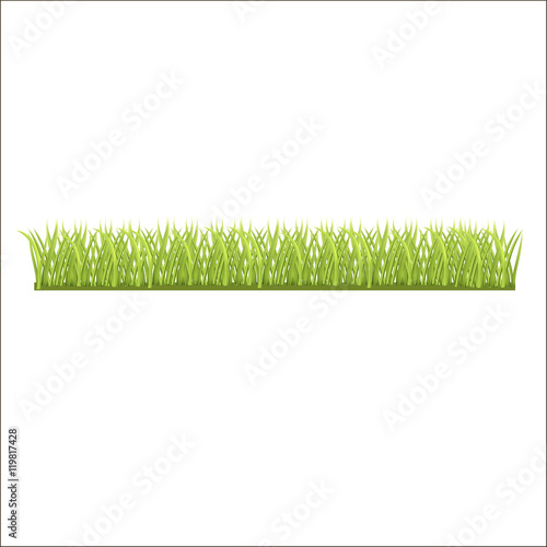  row of fresh green grass for you