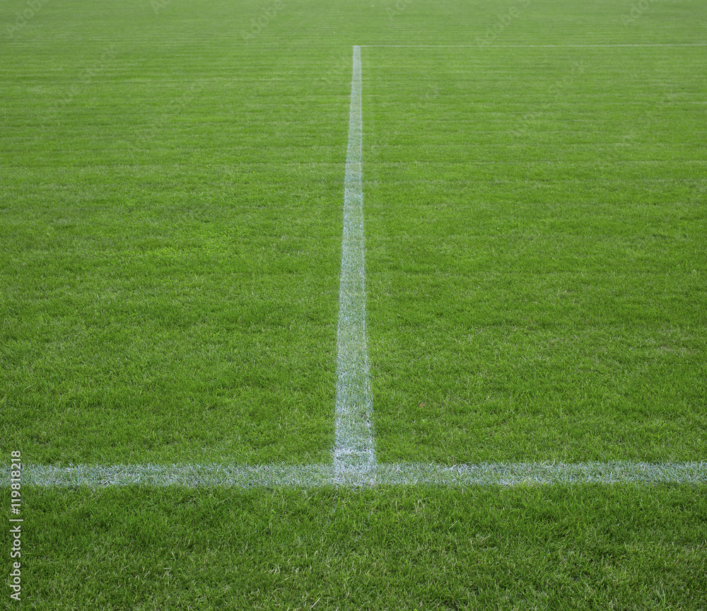 Part of soccer field with horizontal and vertical lines