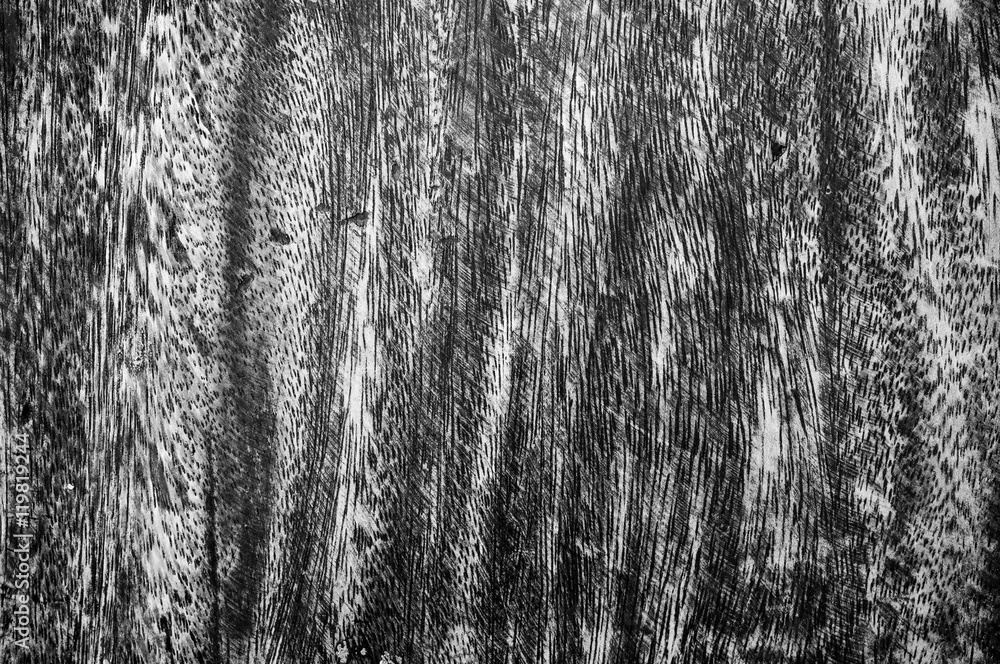 Fototapeta premium Old wood background texture.