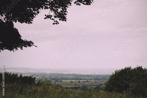 Tree view view over the Chiltern landscape  Buckinghamshire Vint