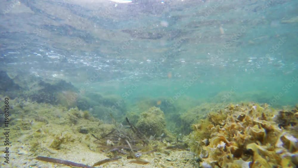 rocks and sand underwater in Sardinia rocks and sand underwater in Sardinia
