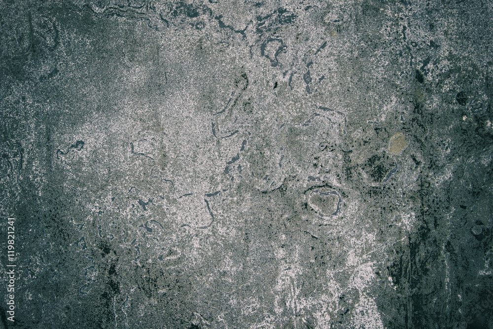 Grey green grunge texture of old wall Grey green grunge texture of old wall