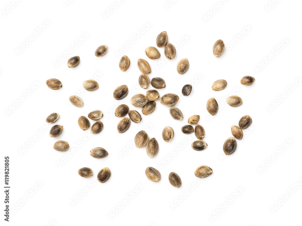 Some hemp seeds spread out on white background seen from above