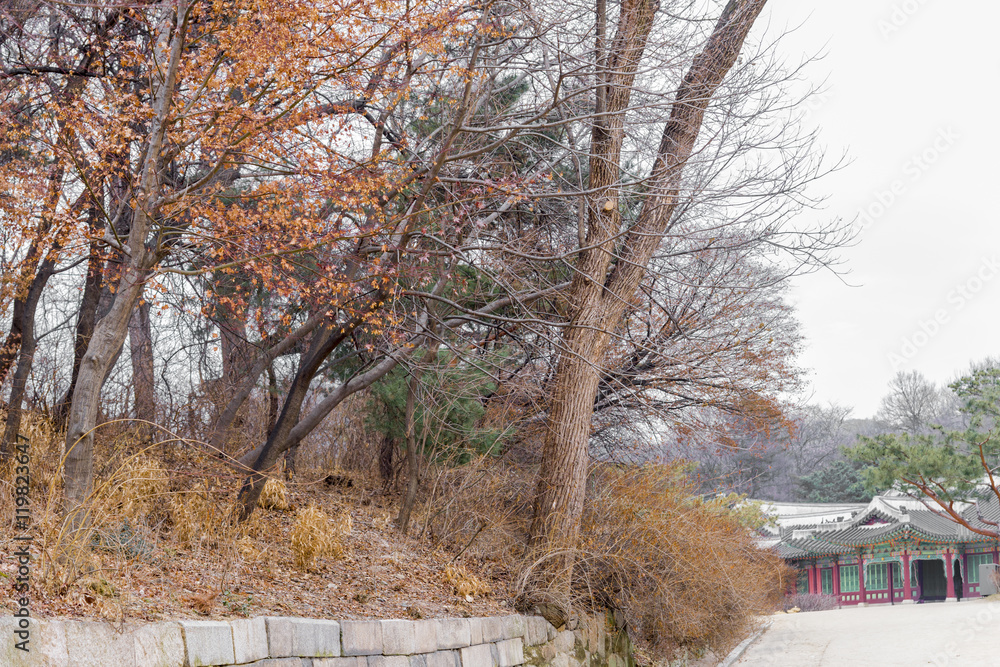 path way and Korean Tradition decoration brick wall in Secret Ga