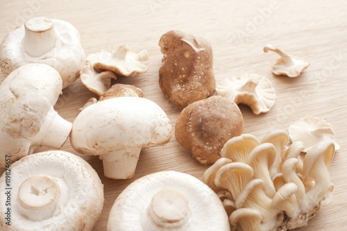 Varieties of fresh edible mushrooms