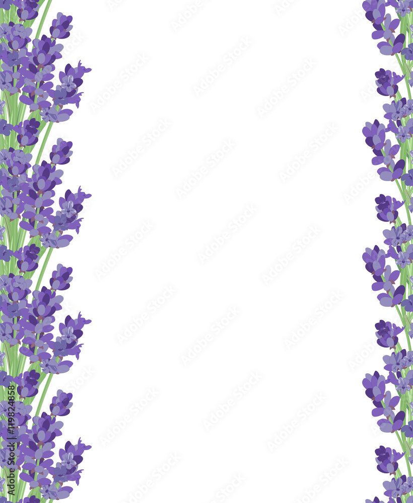 The background for the text label of the packaging the card with lavender flowers.