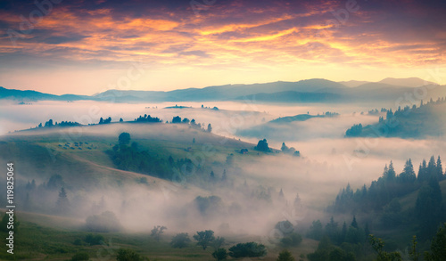 Sleepy foggy valley in the early morning.