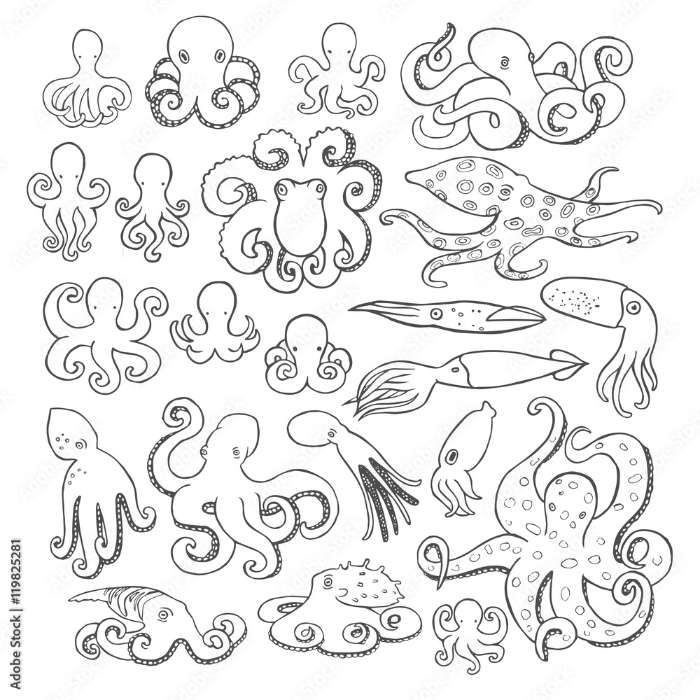 Hand drawn octopus set