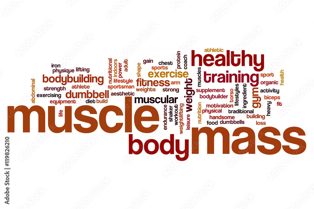 Muscle mass word cloud