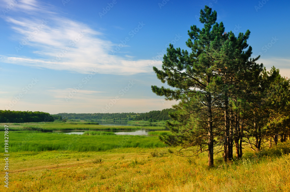 Landscape with a pine forest and lakes