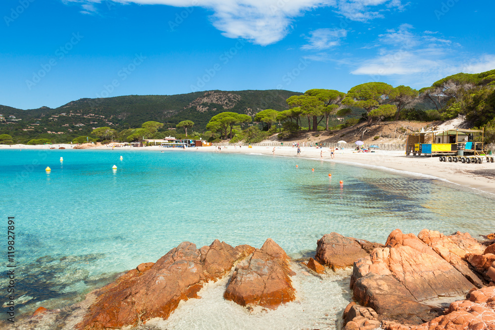 Palombaggia beach in Corsica Island in France Palombaggia beach in Corsica Island in France