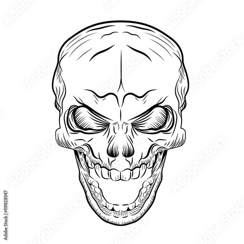 Skull Hand Drawn, Vector Illustration