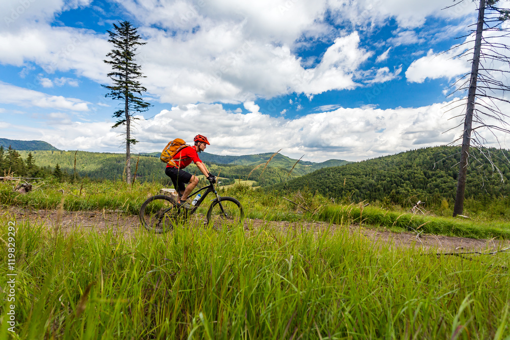 Naklejka premium Mountain biker cycling riding in woods and mountains