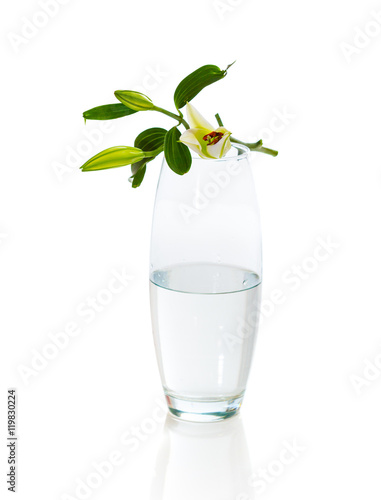 Bouquet of white lilies in glass vase isolated