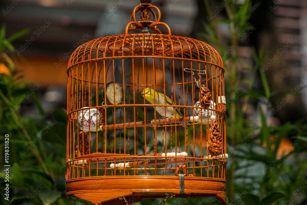 Birds in cages hanging at the Bird Garden and  market in Yuen Po