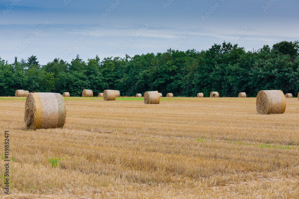 Italian countryside panorama. Round bales on wheat field