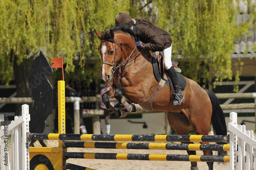 saut d'obstacle en équitation photo