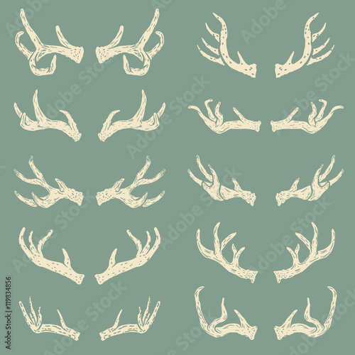 Set of hand drawn deer horns. Design elements for logo, label, e