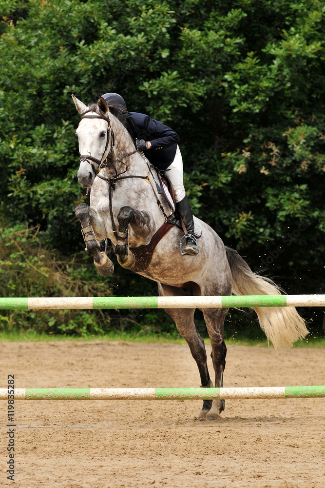 saut d'obstacle en équitation