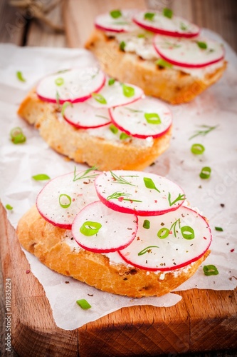 toasts with cream cheese, organic radish, onion and dill