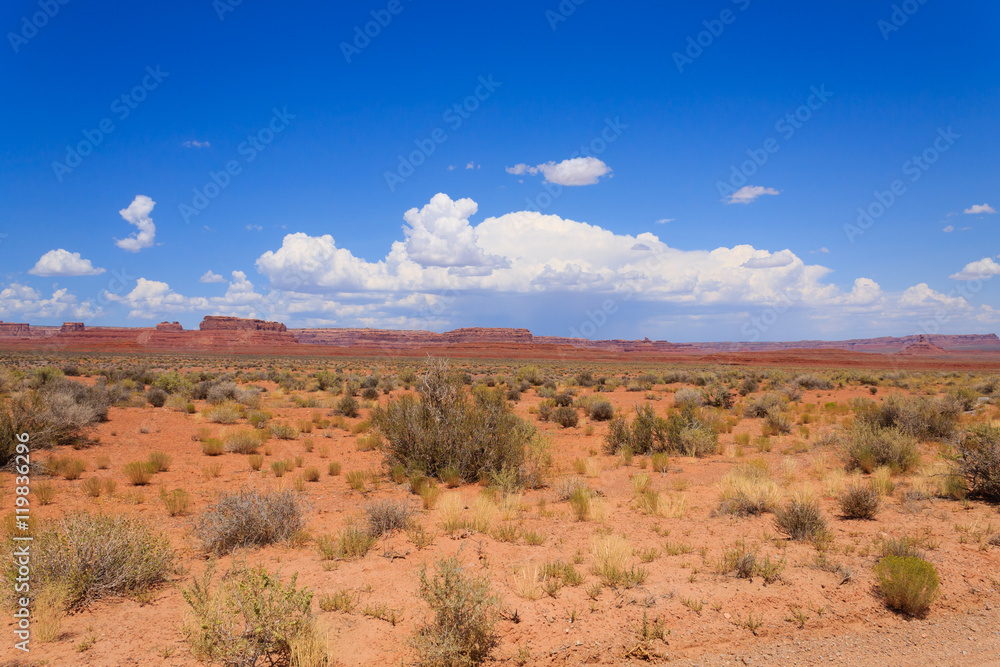 Valley of the Gods view