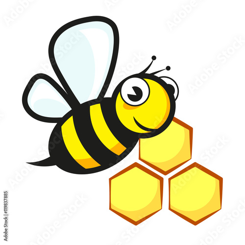 Bee and honeycombs