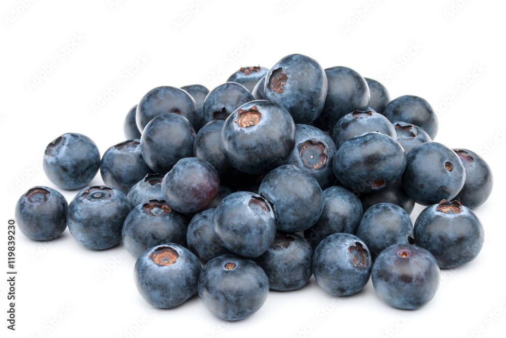 blueberry or bilberry or blackberry or blue whortleberry or huck blueberry or bilberry or blackberry or blue whortleberry or huck