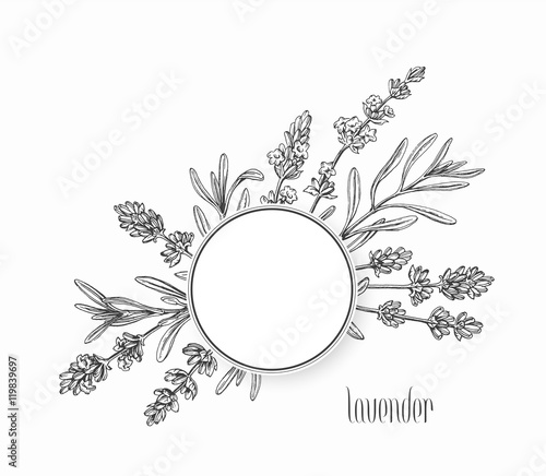 Floral graphical background, frame