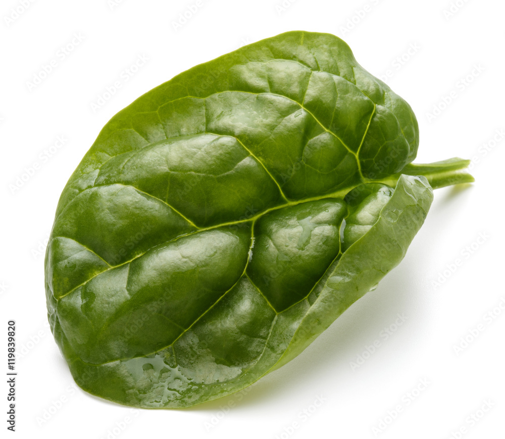 Fototapeta premium Baby spinach leaves isolated on white background cutout