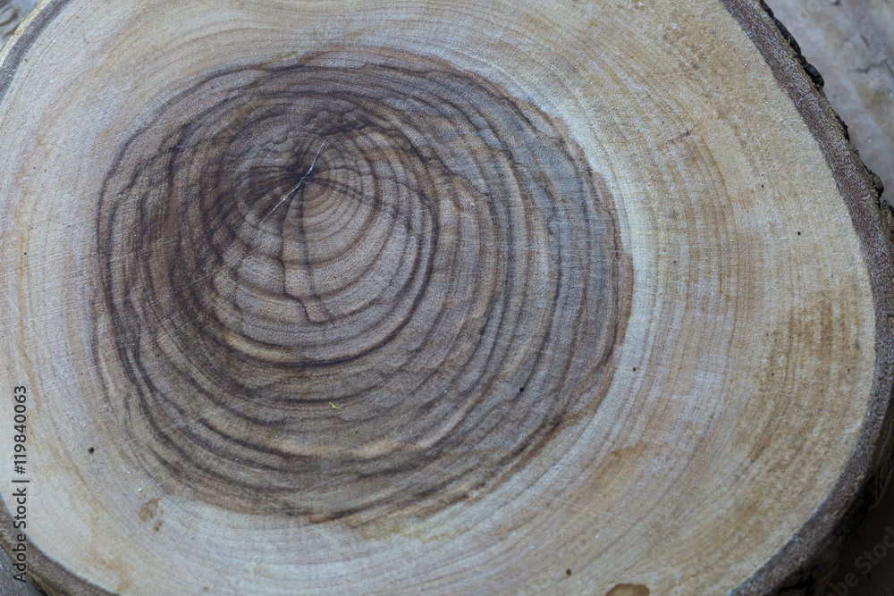 Fototapeta premium Texture