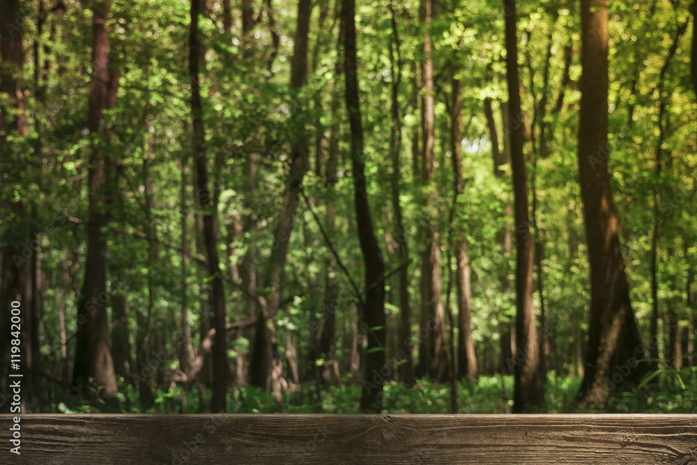 Blurred forest natural background with a board, table, wooden plank in the foreground Blurred forest natural background with a board, table, wooden plank in the foreground