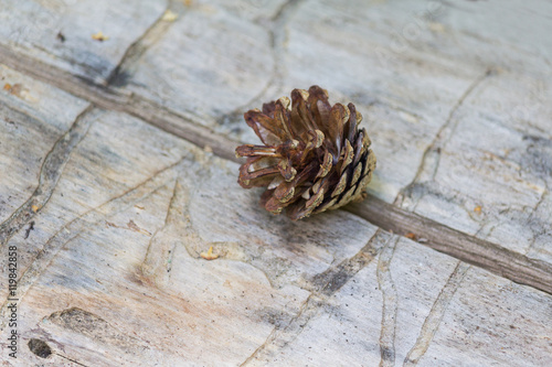 Cone lies on the cracked wooden surface