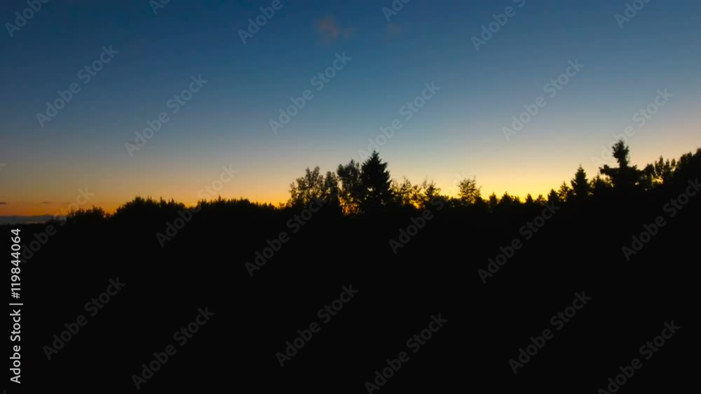 The tip of the trees in the forest taken on a dark night with yellow sky The tip of the trees in the forest taken on a dark night with yellow sky