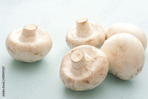  five white mushrooms
