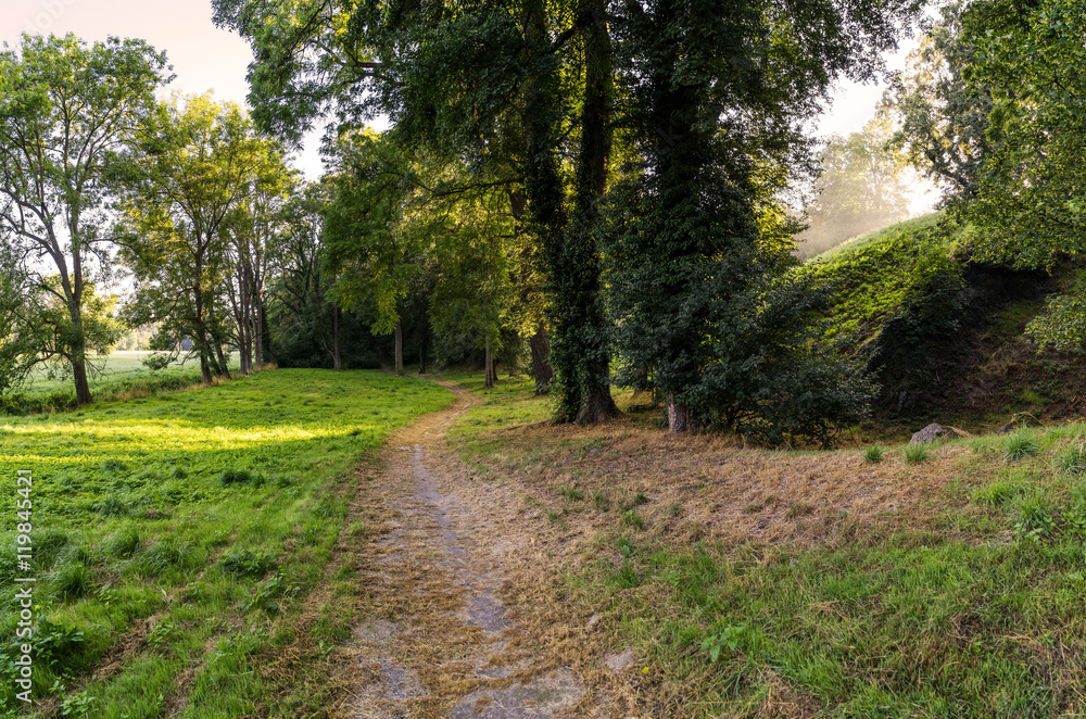 Waldlandschaft