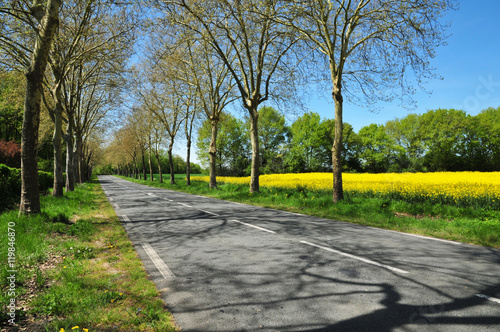 Gazeran, France - june 5 2016 : countryside spring