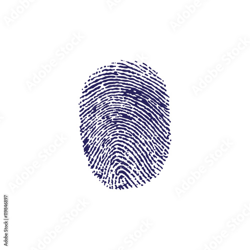 Fingerprint on white background. Fingerprint flat icon.