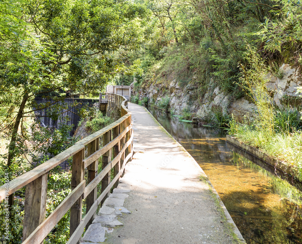 Obraz premium Beautiful seaview from green forest