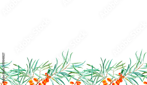 seamless border with sea buckthorn and branches.watercolor hand drawn illustration.white background.