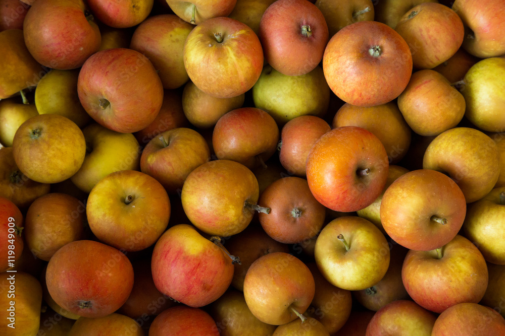 Apples Apples